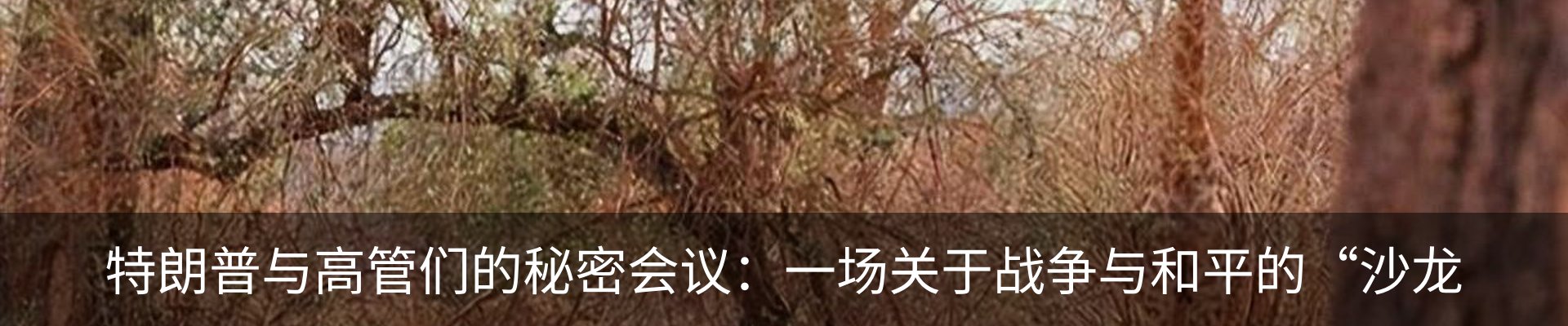 行业资讯
