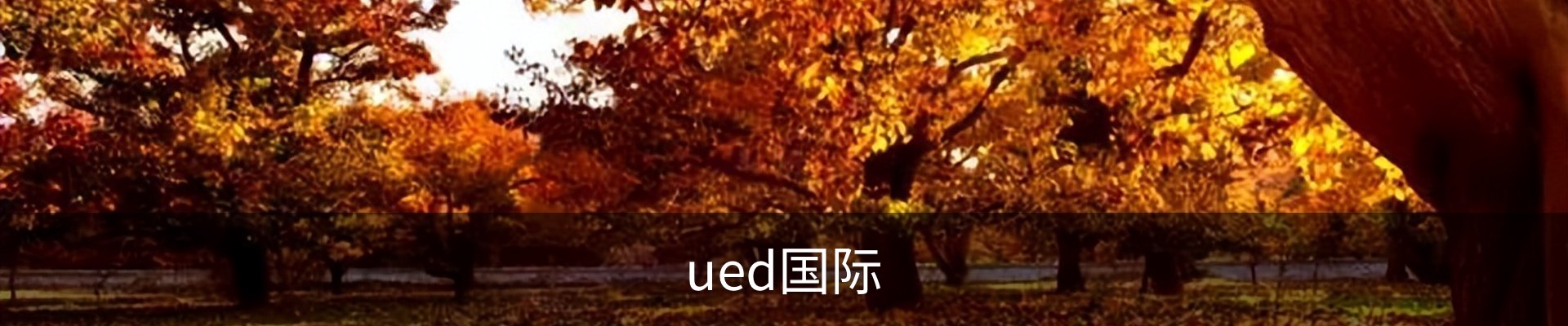 ued国际